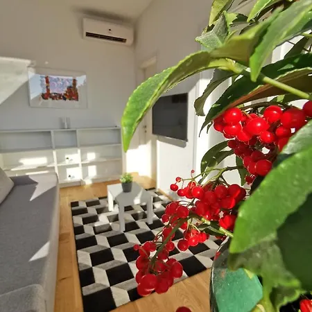 Apartmaji Egis * Koper