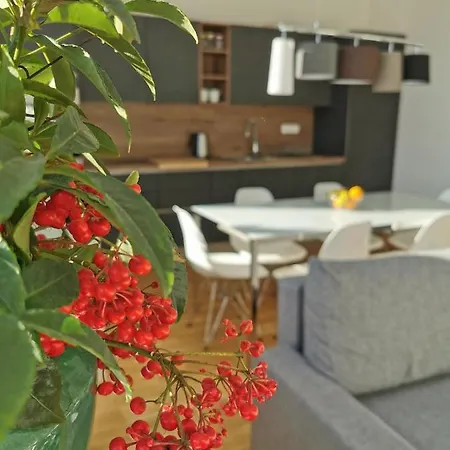 Apartmaji Egis קופר