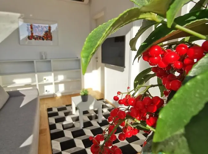 Apartmaji Egis * 科佩尔